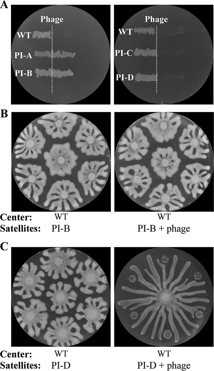 FIG 2