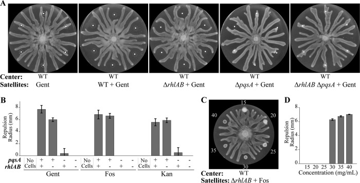 FIG 4