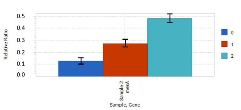 Figure 6