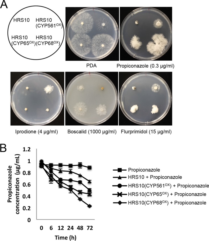 FIG 3 