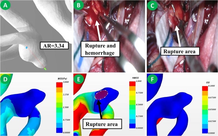 FIGURE 3