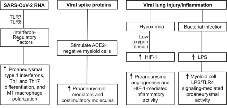 Fig 2