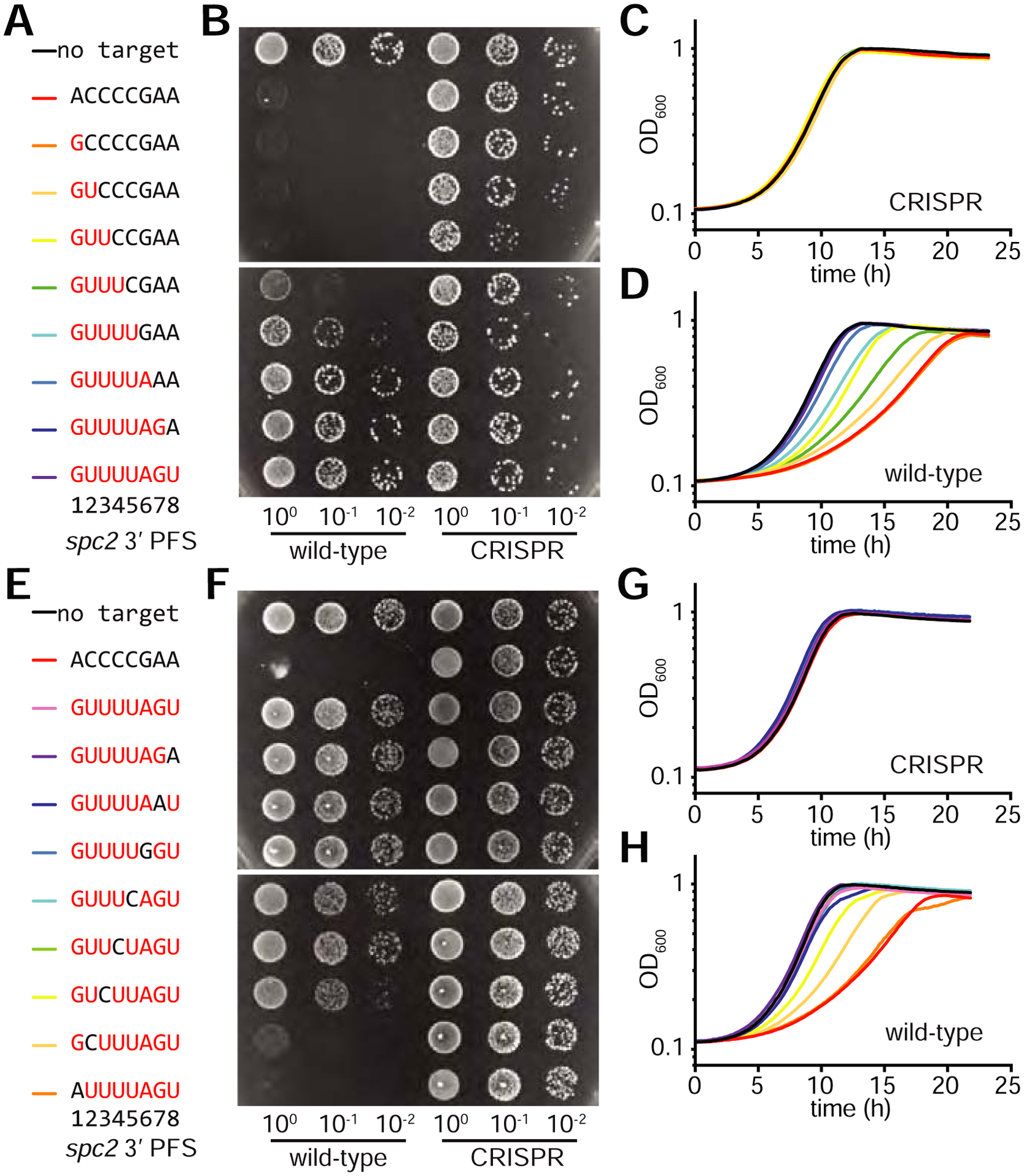 Figure 4: