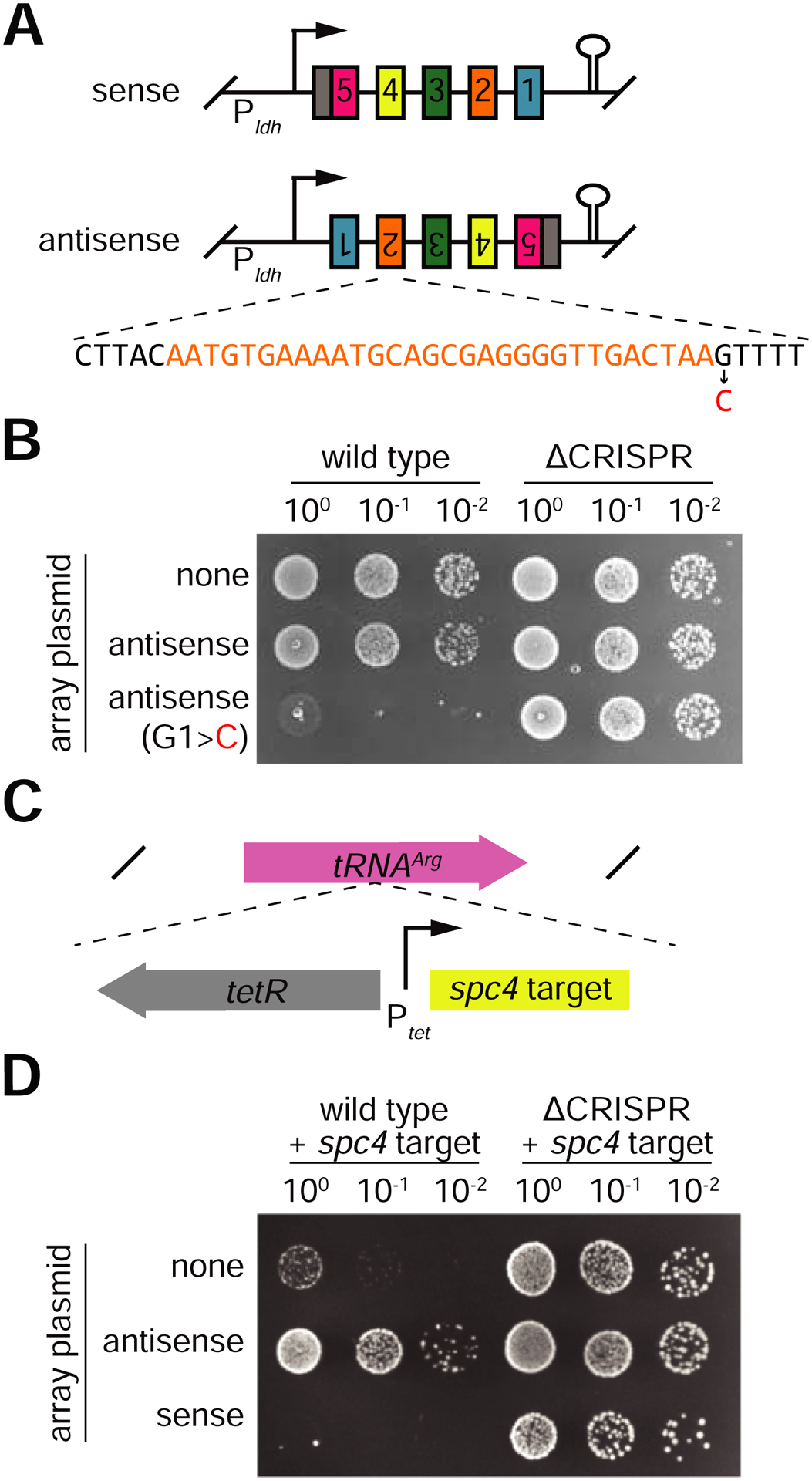 Figure 7: