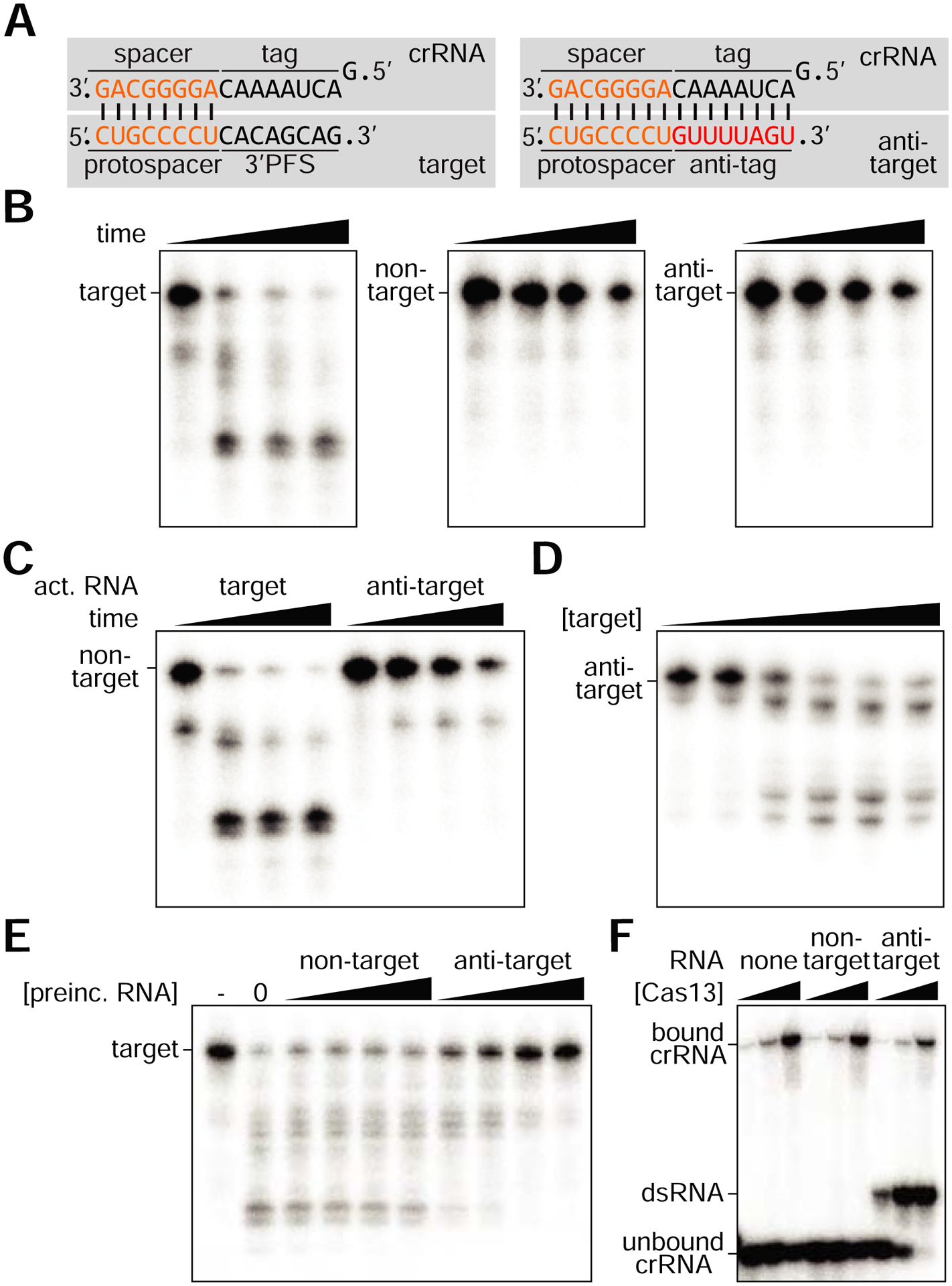 Figure 6: