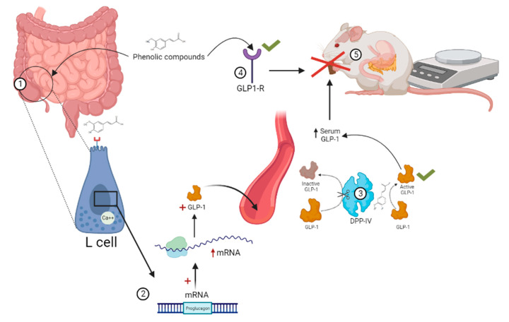 Figure 4