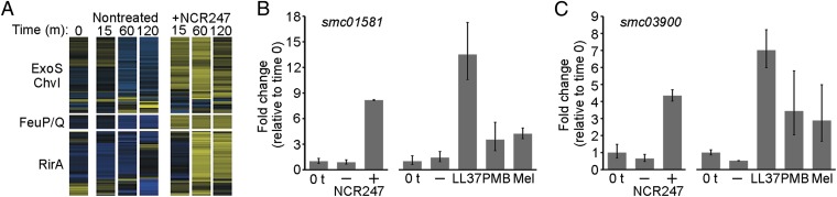 Fig. 4.