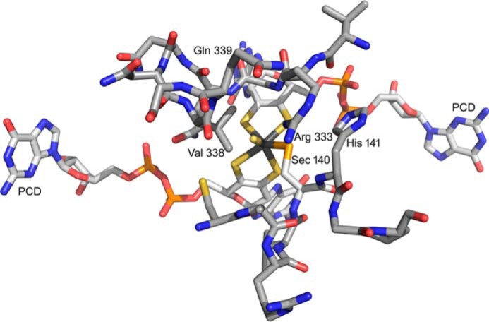 FIGURE 10.