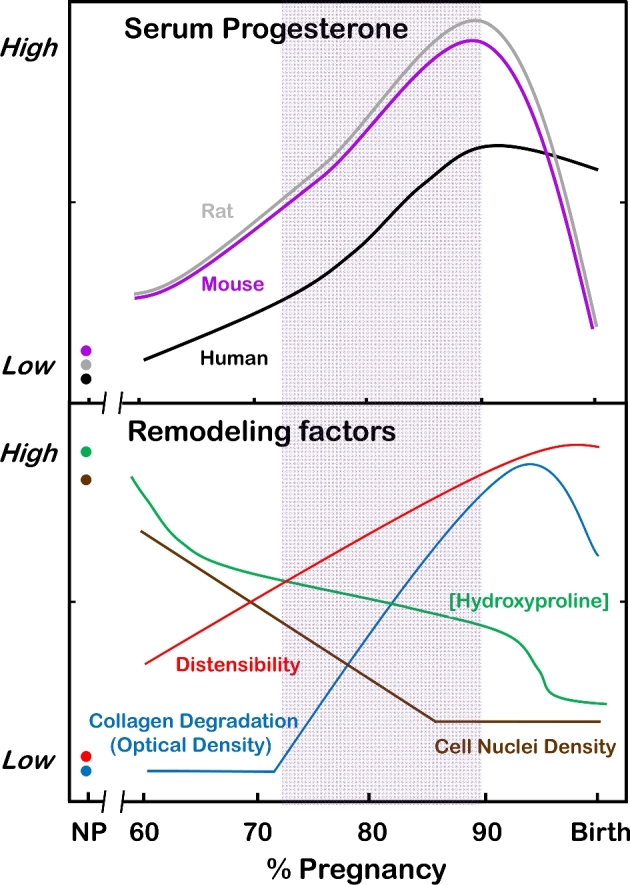 Figure 1.