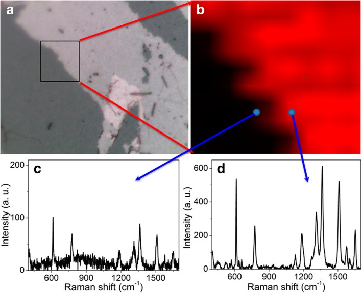 Fig. 11