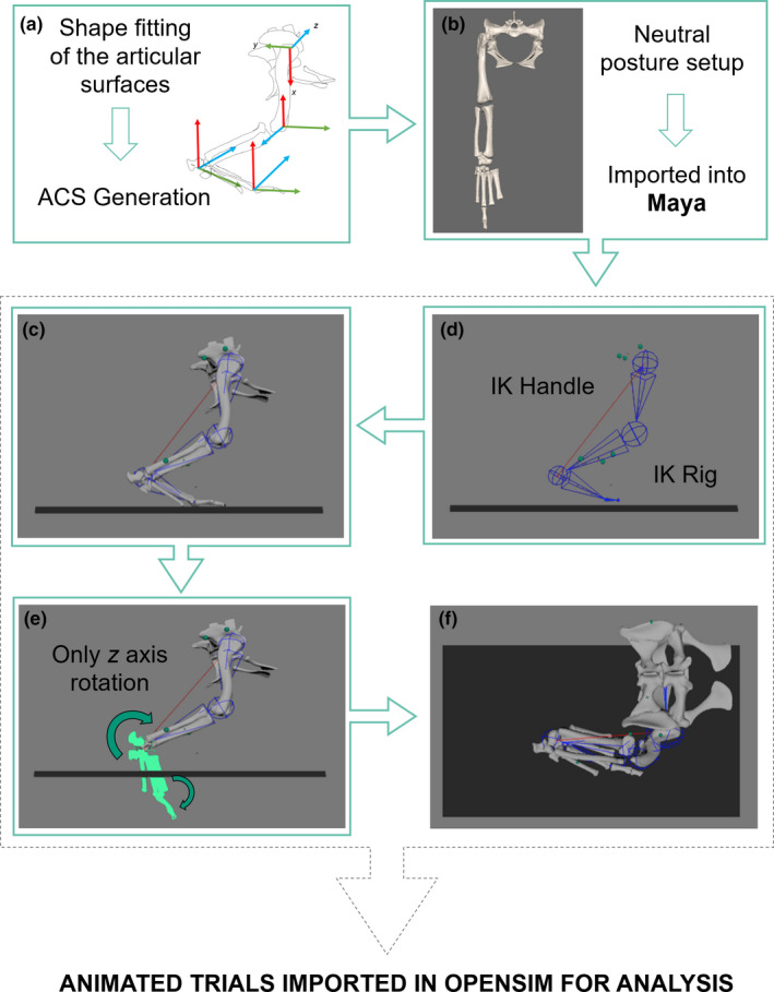 FIGURE 3