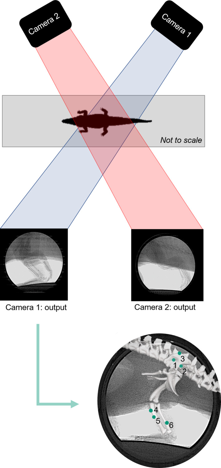 FIGURE 2