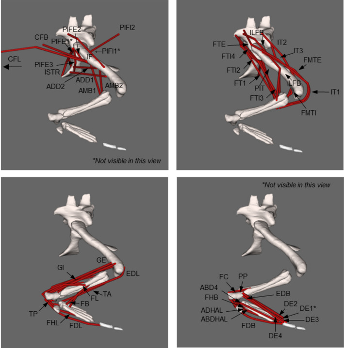 FIGURE 4