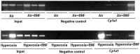 FIG. 8