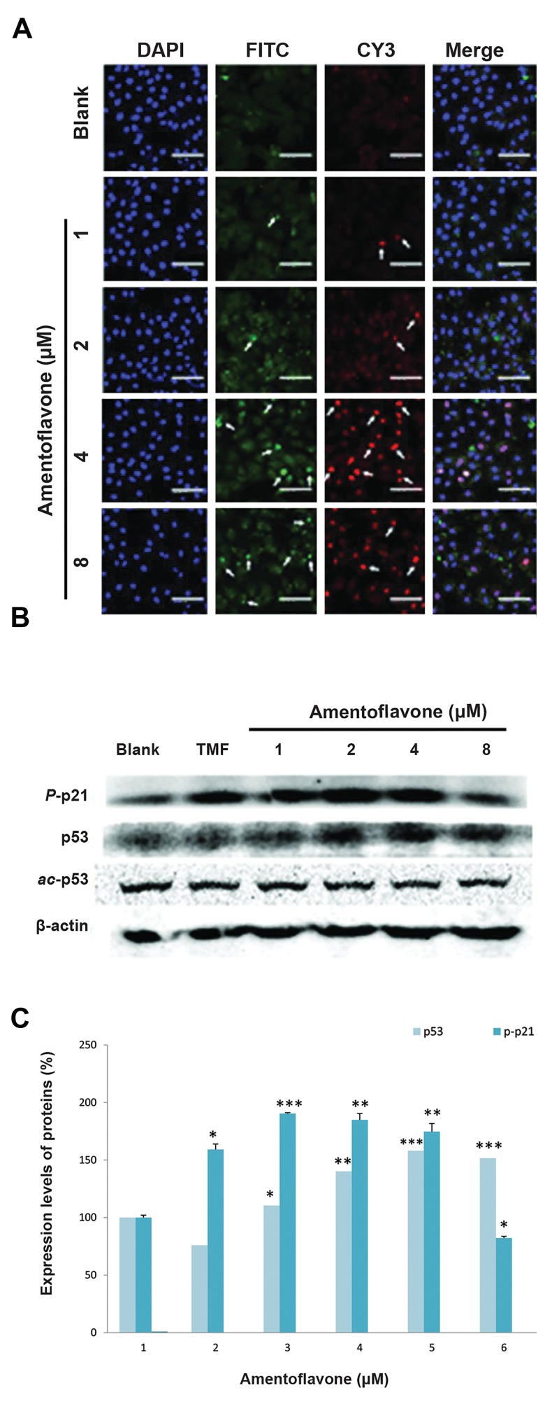 Fig.4