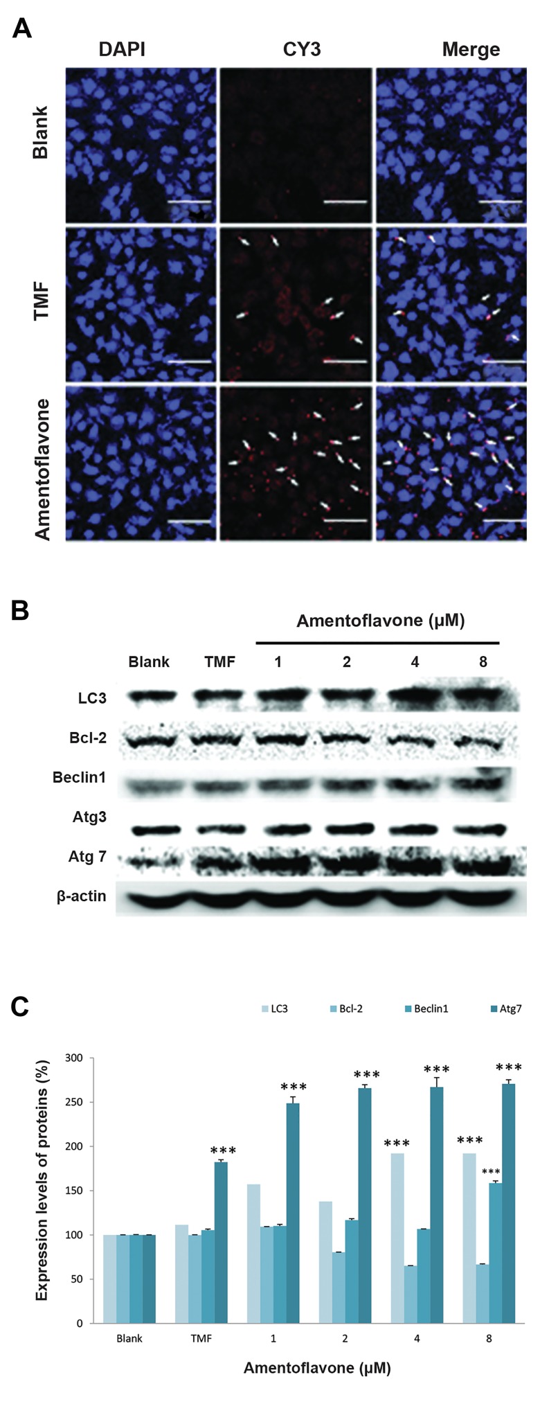 Fig.3