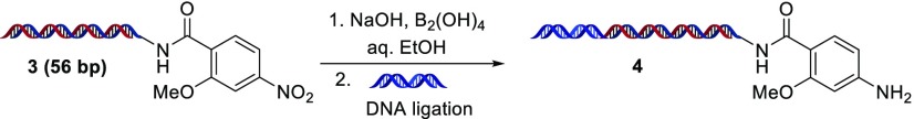 Scheme 2