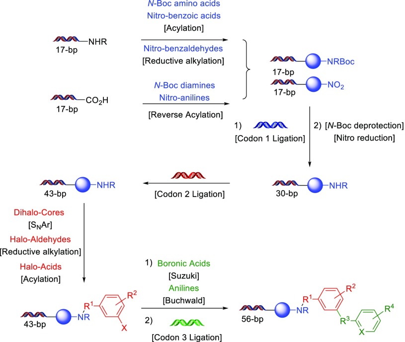 Scheme 4