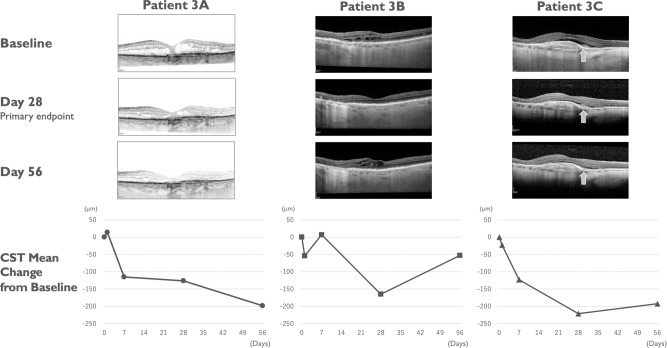 Fig. 4