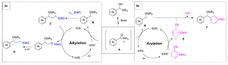 Scheme 3