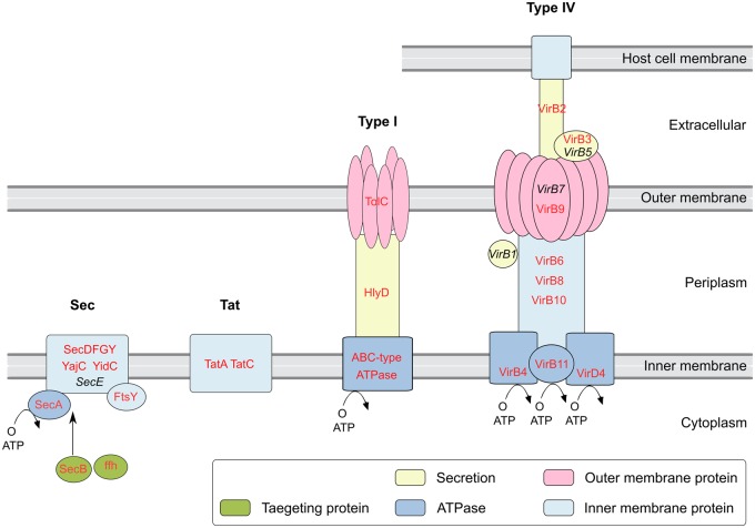 Fig. 4.