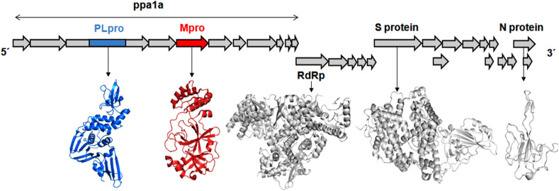 Fig. 1