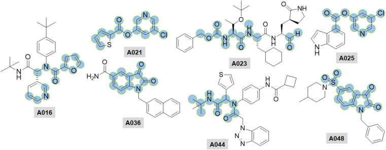 Fig. 21