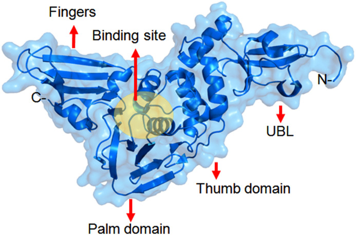 Fig. 3