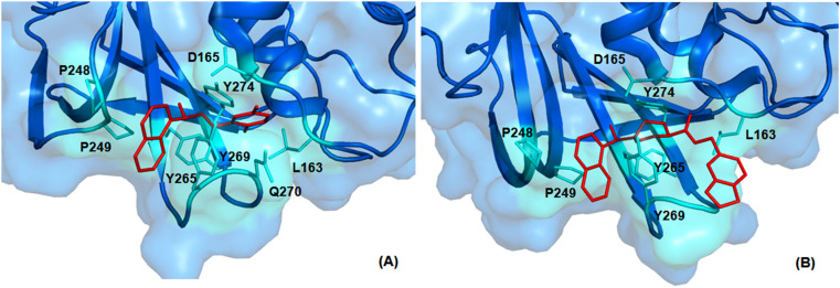 Fig. 24