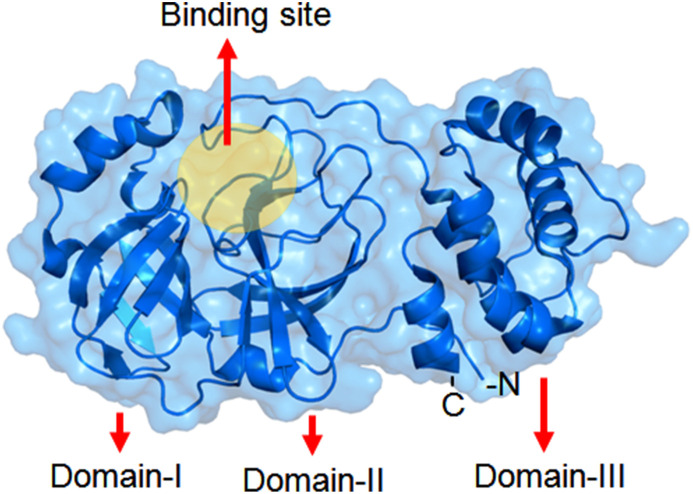 Fig. 2