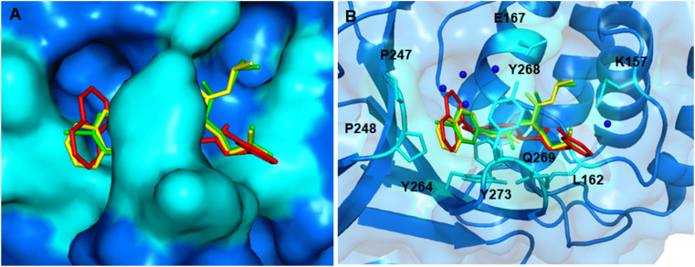 Fig. 25