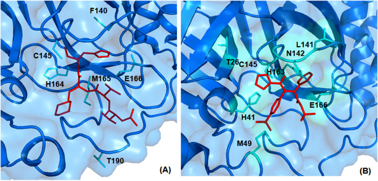 Fig. 23