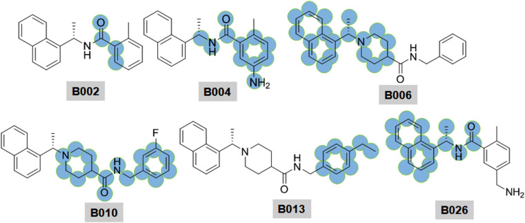 Fig. 22