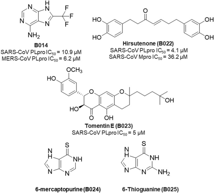 Fig. 19