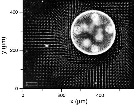 Fig. 5.