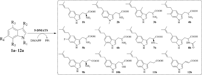 FIGURE 3.