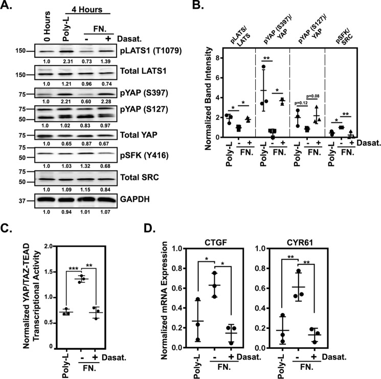 Figure 5.