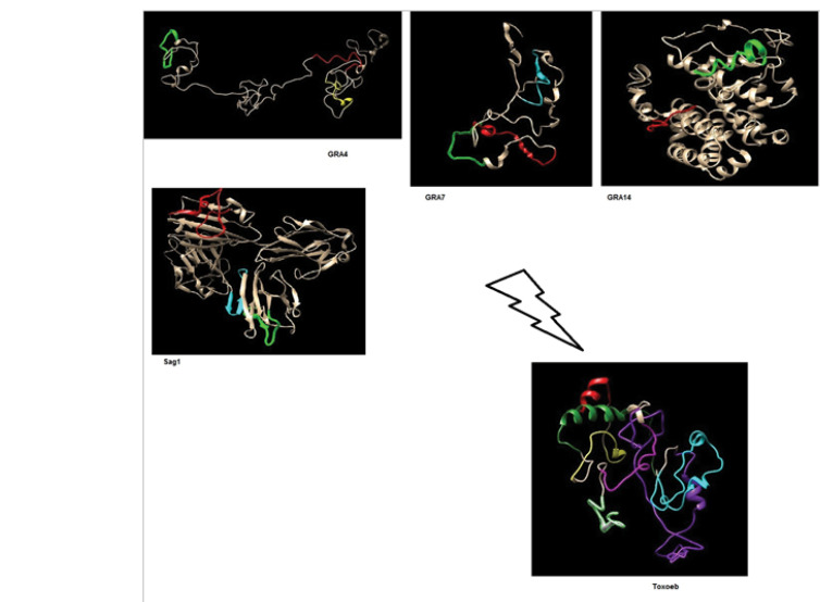 Figure 4