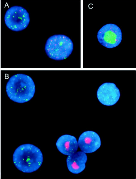 FIG. 4.