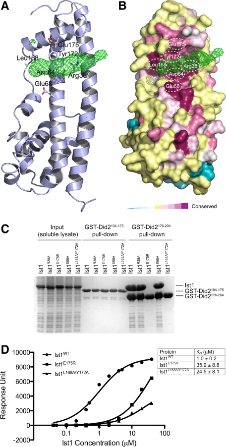 Figure 3.