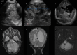 Fig. 9