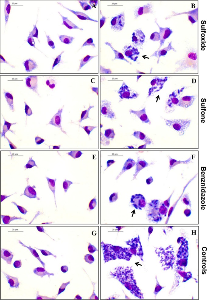 FIG 2