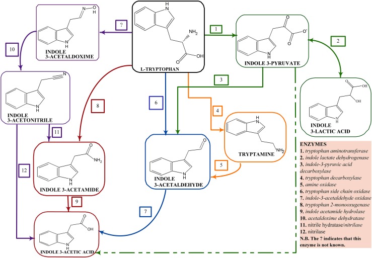 Fig. 2