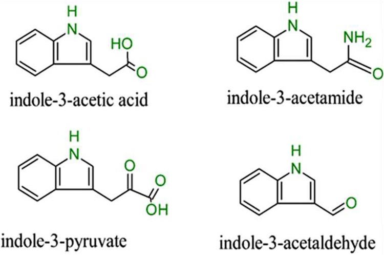 Fig. 1