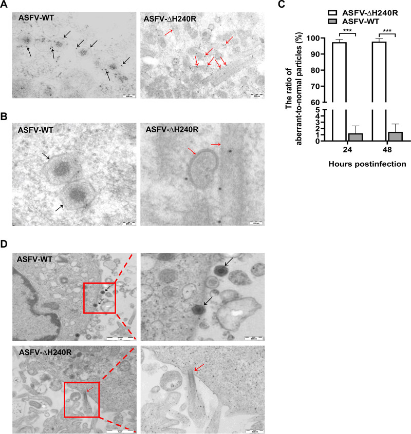 FIG 6