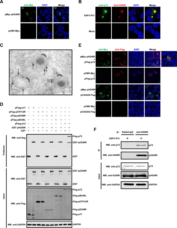 FIG 2