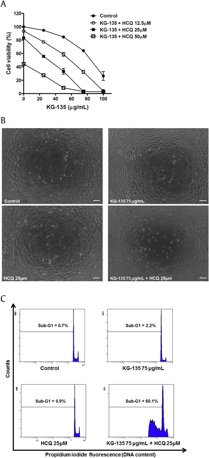 Fig. 6