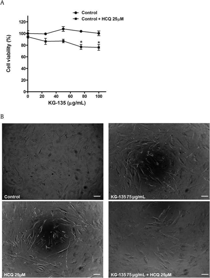 Fig. 2