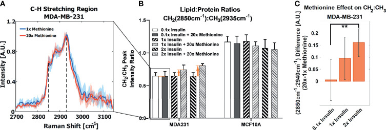 Figure 2