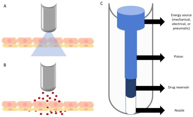 Figure 7